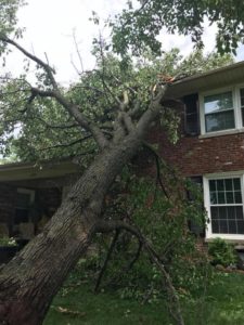 A tree that has fallen onto a brick home after a storm